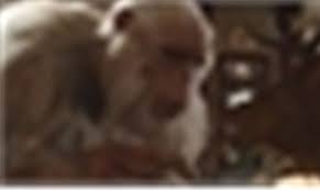 Now that is a big monster of pasadena and he looks like a yeti but he's an abominable snowman. Goosebumps Vfx Computer Graphics World