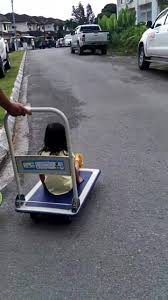 Priority mail express international® ec 000 000 000 us. Borneo Thingy Home Facebook