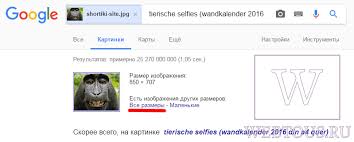 4 Sposoba Mgnovenno Najti Pohozhuyu Kartinku Ili Foto V Internet Besplatnye Onlajn Servisy