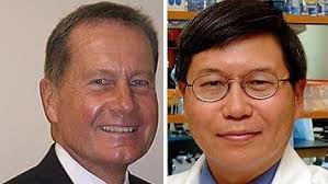 2 new roles in health profession