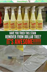 I Tested Out This Popular Stain Remover That Can Be Found At Dollar Tree And Had Awesome Results Cleaning Hacks Deep Cleaning Tips House Cleaning Tips