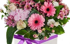Funeral and sympathy flowers melbourne. Funeral Flowers Wreaths Shop Sympathy And Funeral Flowers In Melbourne