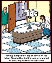 Somehow the cinematographer from candyman and he's all that are the same person. Solve X Ray Joke Jigsaw Puzzle Online With 42 Pieces