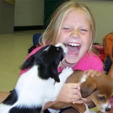 THE BEST 10 VETERINARIANS near NORTH PRAIRIE, WI