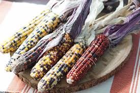 You can however freeze it if you don't have time to put a batch in the canner. Can You Eat Indian Corn Yes And Here S How Eat Your Way Clean