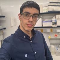 400+ "Albert Sanchez" profiles