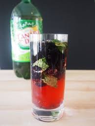 Blackberry Ginger Ale Mojito Recipe With Images Blackberry Ginger Ale Ginger Ale Smoothie Drink Recipes