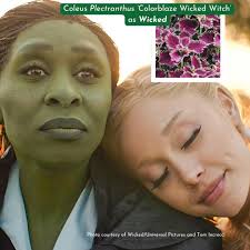 Missouri Botanical Garden...