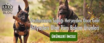 Aminosol Vitamin Nedir