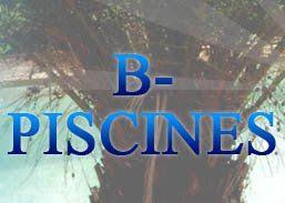 Vendeur Piscine Frejus Piscine Coque Var