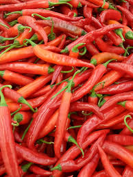 Image result for Capsicum annuum