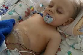 Fundraiser by Elsa Dowdy Tibbits : Jake's 12th Man Team Donations