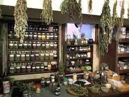 Herbal Kitchen Apothecary Decor Hanging Herbs