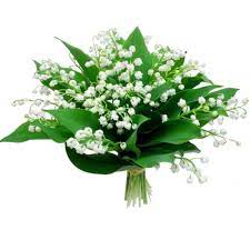 Последние твиты от muguet (@muguetzzle). Muguet Bouquet
