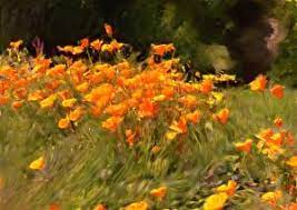 Hd to 4k quality, all ready for download! Desktop Wallpapers Smiling Flowers Painting Art