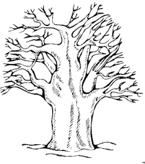 Malvorlage baum mit ästen archives ausmalbildzug best of asten. Malvorlage Kahler Baum Coloring And Malvorlagan