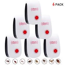 Marley also has a spell that kills all pets no matter what rank for 25000 gold does 25 pet energy. Lulu Home Ultrasonic Pest Repellent 2020 New Plug In Pest Defender Indoor Non Toxic Pest Reject For Insects Mosquito Spiders Ants Rats Roaches Bugs Flea Children And Pets Safe 6 Pack Buy Online In