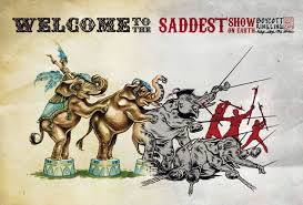Saddest Show On Earth Circus Animals Animal Cruelty Awareness Animal Abuse