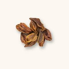 Image result for Terminalia arjuna