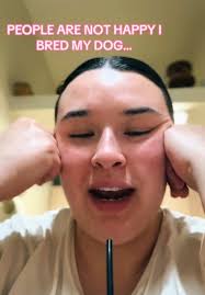 Godlenddole Bred by Amish