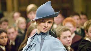 Why Fleur Delacour In Goblet Of Fire Puzzles Harry Potter Book Fans