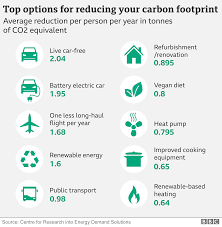 Climate Change: Top 10 Tips To Reduce Carbon Footprint Revealed - Bbc News