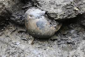 A new scientific study on 800-year-old human remains in Norway supports a  royal history claiming that a dead body was thrown into a well to poison  its water. The skeletal remains, found
