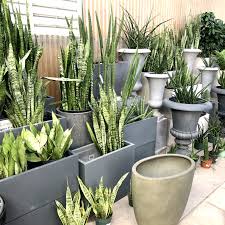 Outdoor planters for every type of garden, from classic wooden planters to galvanised metal troughs, terracotta pots and raised beds. Monterey Garden Pots Planters Boxes Outdoor Indoor Griggs