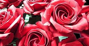 摺紙作品當中 酷愛各種玫瑰 也創作了s k rose s y rose 12 瓣玫瑰 十字玫瑰cross rose belle rose 美麗玫瑰 摺玫瑰以來 環 肥 燕 瘦 各有所愛 還是持續以更多 更美的玫瑰 陸