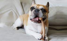 11 Long Lasting Chews For Dogs Who D Chew Through Drywall Dog Chews Dog Chew Toys Puppy Supplies