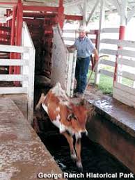 Image result for dip vat