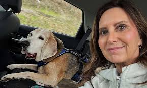 ABTCR Rescues Peaches from West Virginia Shelter