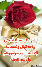 صباح الورد والياسمين يضيء يومك بجمال لا يُنسى