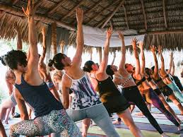 Maureen nowlan yoga in bedford. Modo Yoga Bedford In Bedford Ns Ca Mindbody