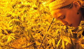 Martin Weed's Instagram, Twitter & Facebook