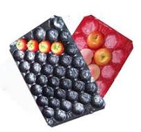 Supermarket Stacked Disposable Plastic Fruit Packaging Tray Fresh Fruit and  Vegetable Raspberry Blueberry Container