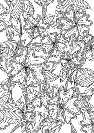 This bee has stumbled upon his favorite treat, a blooming flower. Jungle Flowers Jungle Flowers Flower Coloring Pages Zentangle Patterns
