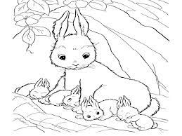 Animals can be cute and cuddly. Cute Baby Bunny Coloring Pages Coloring Home
