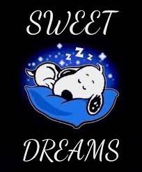 Good night sweet dreams wishes are always good way of letting know people that you always care about them. Sweet Dreams Snoopy Funny Snoopy Funny Snoopy Quotes Goodnight Snoopy