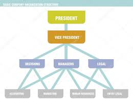 Basic Company Organization Structure Chart Stock Vector