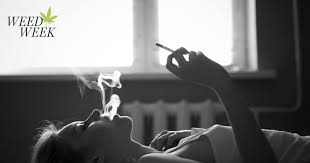 Want to discover art related to smoking_weed? Marijuana The Natural Viagra