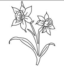 If you are of celtic heritage, you can also dedicate this tattoo to your family member such as your mother , or if you're mixed heritage, it with your other tattoos that can include a mandala or cherry blossom tree. December Birth Flower Tattoo Idea Narcissus Birth Flower Tattoos Flower Tattoo Flower Tattoos