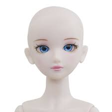 Amazon.com: EVA BJD