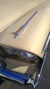 Image result for Golden Fawn 1976 Fury