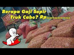Gaji sopir truk cabe lansir dari lumajang sampai jakartaaподробнее. Berapa Gaji Sopir Truk Cabe Youtube