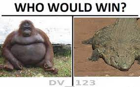 With memes and predictions continuing to run wild online, it will certainly be interesting to see who ends up victorious at the end of a colossal battle for the ages. King Kong Vs Godzilla Memes