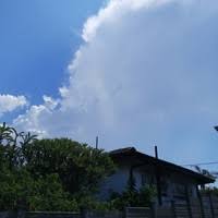 Michael monroe lewis (born october 15, 1960) is an american author and financial journalist. 30 Michael Lewis Profiles Linkedin