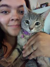 Found: 17th St Ct E & 51st Ave E, 34203. Purple collar with hearts. Safe  with