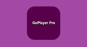 Agora é só concluir a instalação, e pronto, só usar seu app. Goplayer Pro Apk V1 1 2 Baixar Versao Atualizada Mundo Android
