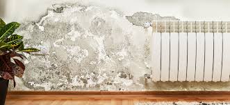 Wall Time Rutubet Ve Kuf Onleyici Rutubete Son